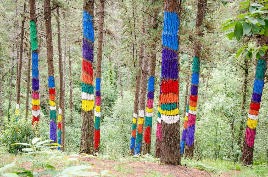 Bosque De Oma Un Lugar M Gico Para Emocionarse Con La Naturaleza Y El Arte