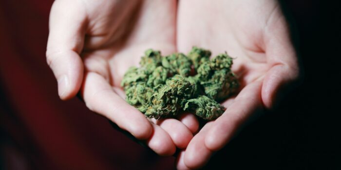 El debate del cannabis medicinal llega al Congreso: «El problema es mezclar uso terapéutico y recreativo»