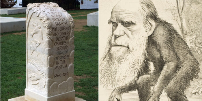 En el Día de Darwin nos preguntamos por las normas sociales: ¿Han marcado nuestra evolución?