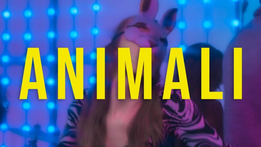 Animali