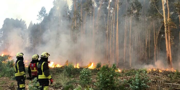 Extinguidos los tres incendios en Bizkaia pendientes del fuerte viento