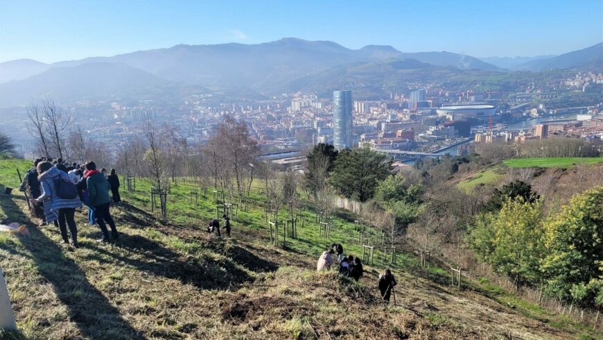 Árbol de Júpiter, morera, arce o tulípero: 1.490 nuevos árboles hacen Bilbao más verde