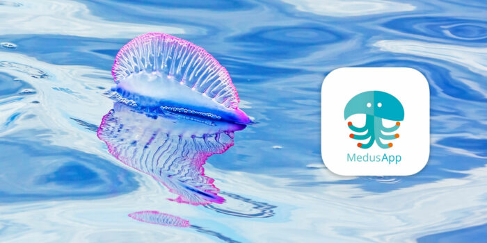 A la caza de la medusa: Tu móvil puede ser de gran ayuda para la ciencia