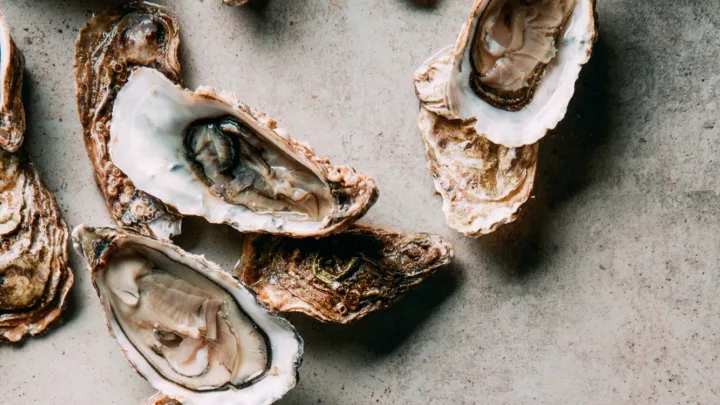 Las ostras son «un filtro natural» para restaurar ecosistemas degradados