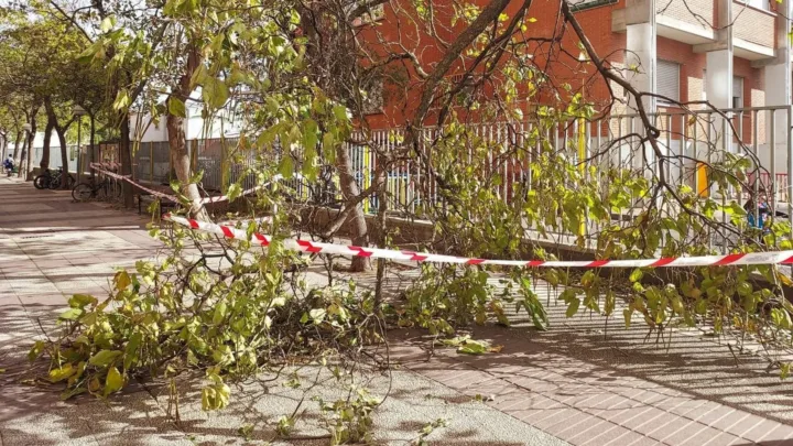 Las fuertes rachas de viento provocan 56 incidentes en Euskadi por caída de ramas, árboles o partes de mobiliario urbano