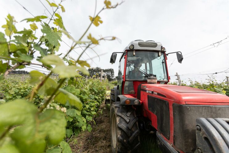 Agricultores vascos destacan que la reforma de la UE para el sector primario «refuerza» el papel de los productores