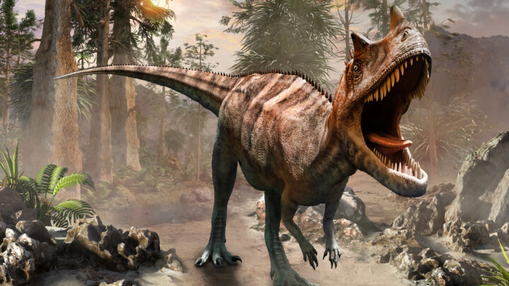 Falsos mitos sobre los dinosaurios: mezcla de especies y características