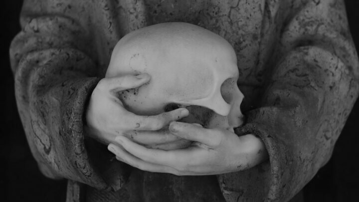 ‘Final óseo’ gana el III Concurso de fotografía del Cementerio de Bilbao