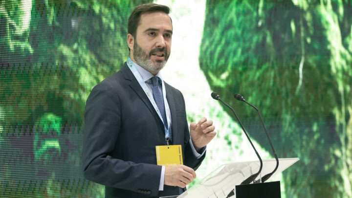 El consejero Javier Hurtado asumirá las funciones de Mendia en el Gobierno Vasco