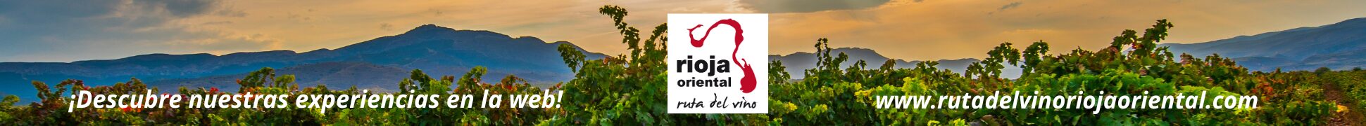Banner de Ruta del Vino Rioja Oriental en Bilbao
