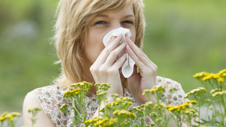 Los alérgicos están de suerte: la lluvia ha impedido la expansión del polen