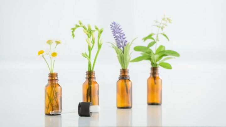Bulos sobre la Homeopatía: ¿Lo similar cura lo similar?