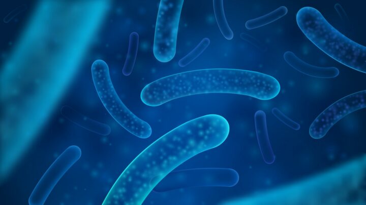 «No todas las bacterias son malas»: beneficios de los probióticos