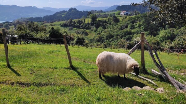 El tiempo en Bizkaia: suben las temperaturas