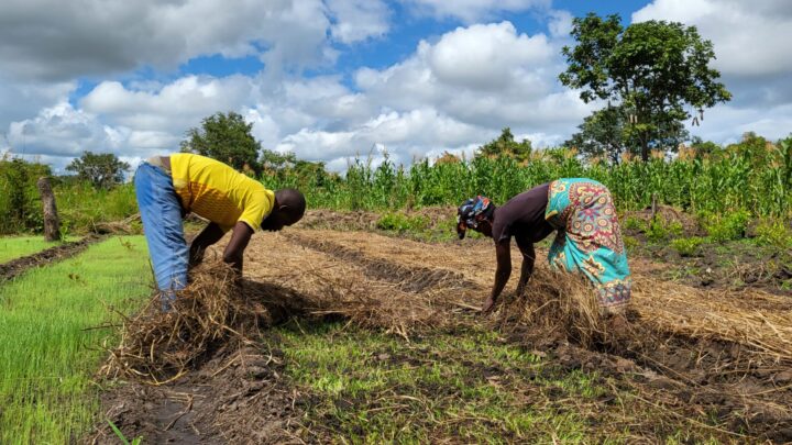 El debate migratorio visto desde África: «No queremos que vengáis pero voy a sacaros todo lo que tenéis»