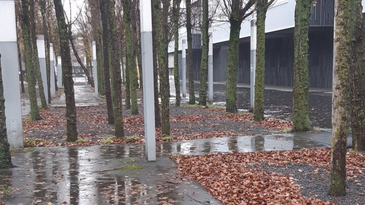 El tiempo en Bizkaia: jornada gris con lluvia por la tarde