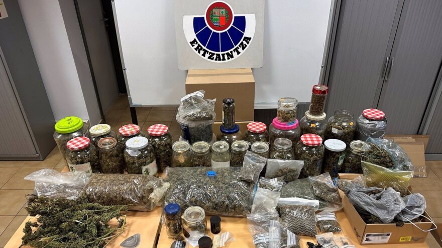 Detenidos dos hombres en Lekeitio por cultivar marihuana en sus terrenos rurales