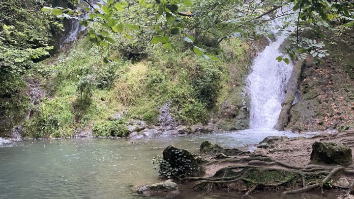 Ruta del agua de Berganzo