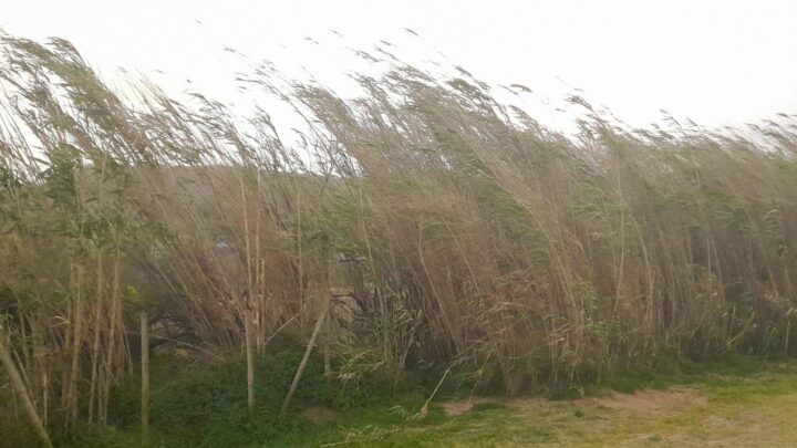 Llega Aitor: Euskadi activa este miércoles y jueves el aviso amarillo por viento de más de 100 km/h