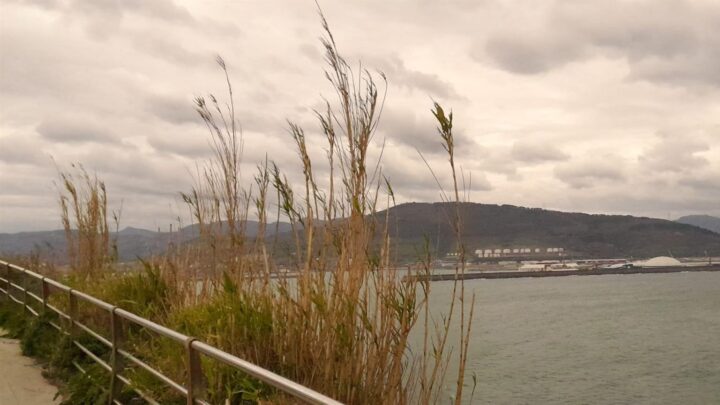 Euskadi activa el aviso amarillo por vientos de más de 100 km/h