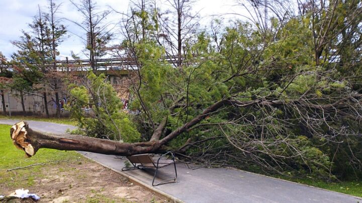 Fuertes rachas de viento en Bilbao: vuelos desviados y caídas de andamios