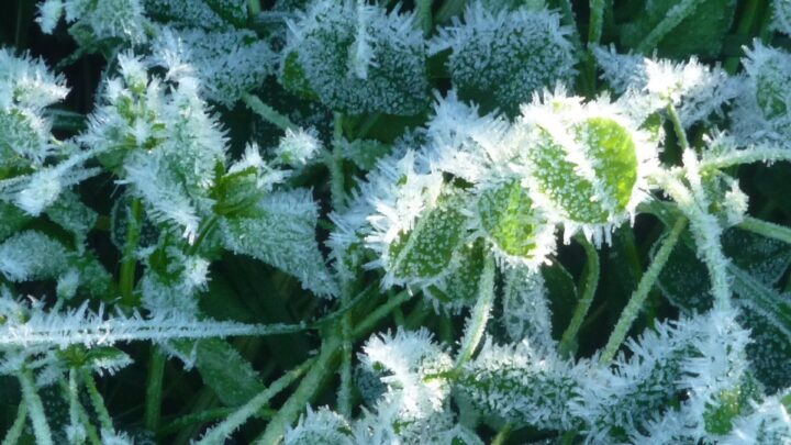 Se mantiene el aviso amarillo por temperaturas mínimas: -3.4º en Orduña