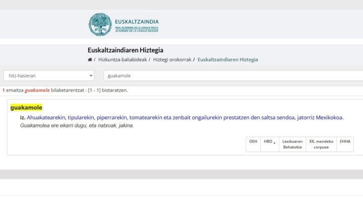 Euskaltzaindia actualiza su diccionario online con 795 nuevas formas