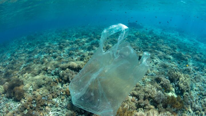 ‘Abracemos el Mar’, un reto que une deporte y conciencia: «Cada brazada cuenta, cada playa importa»