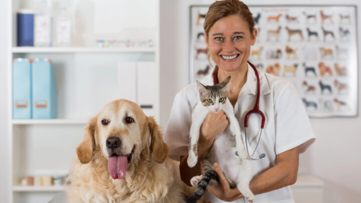 Se aprueba un decreto sobre medicamentos veterinarios… sin los veterinarios