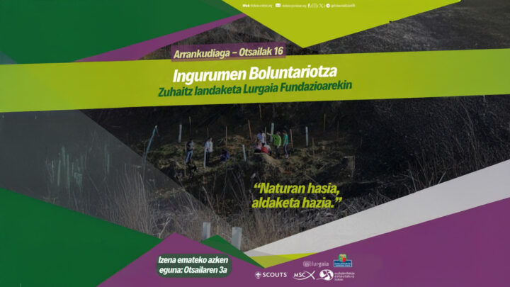 Los eskauts organizan una jornada de voluntariado ambiental el domingo 16 de febrero