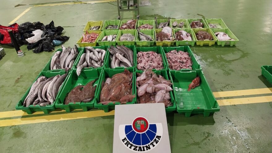 Interceptan 375 kilos de pescado en condiciones de insalubridad en Ondarroa