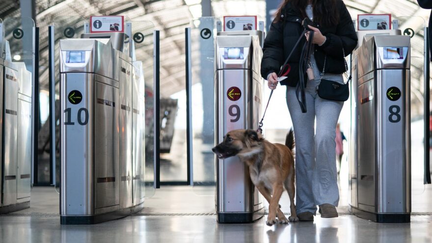 Cercanías de Renfe recupera progresivamente la normalidad en Euskadi