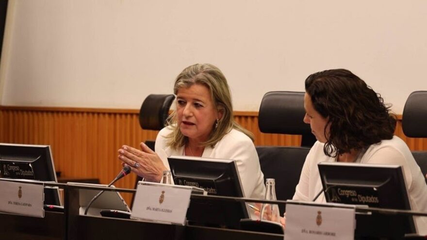 Bizkaia reafirma en el Congreso su liderazgo en cooperación internacional
