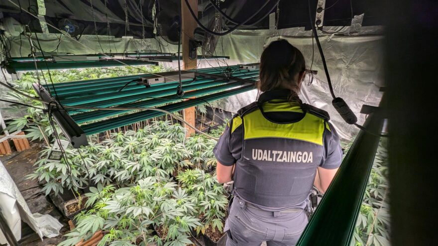 Dos detenidos en Gatika por cultivar marihuana en un caserío
