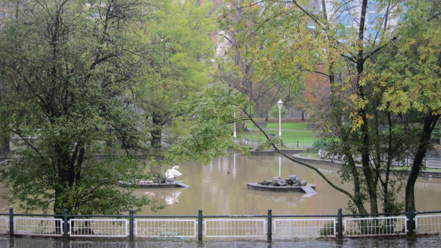 Bilbao lanza una guía para proteger a los insectos polinizadores