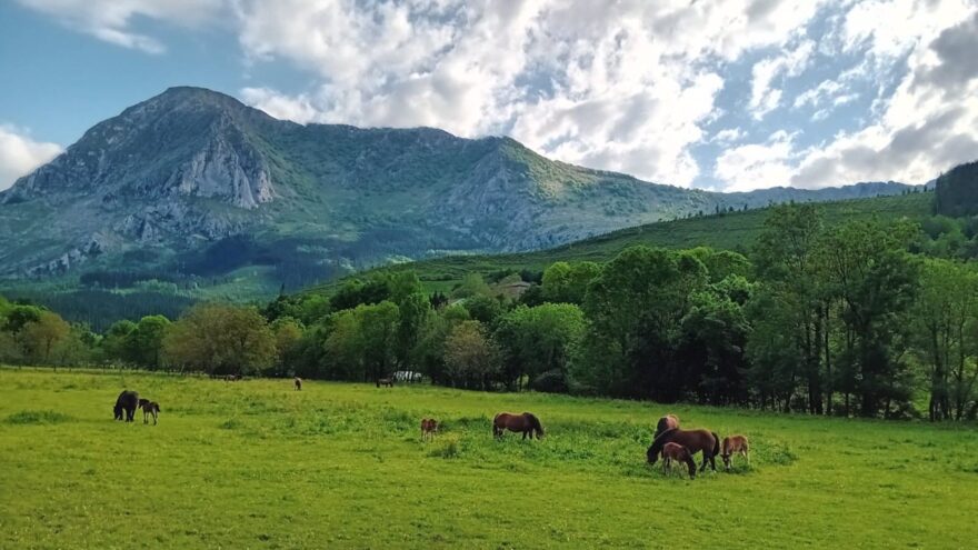 El tiempo este jueves en Bizkaia: lluvia y descenso de las temperaturas