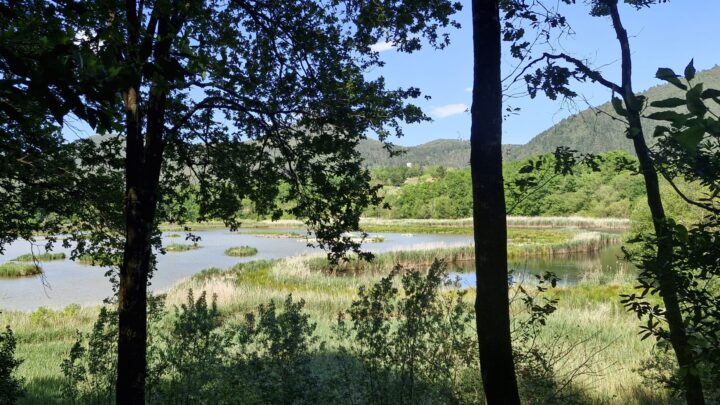Una postal viva desde el corazón de Urdaibai