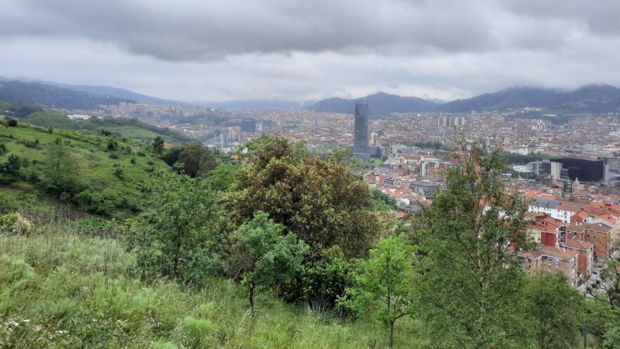 🅱️ Bilbao gana más de 1.600 nuevos árboles en 2024