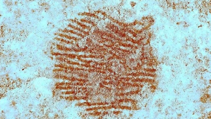 «Se me ponen todavía los pelos de punta»: así se encontró la huella dactilar más antigua del mundo