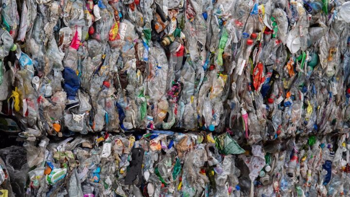 El Ararteko llama a sumarse al movimiento global contra la contaminación por plásticos