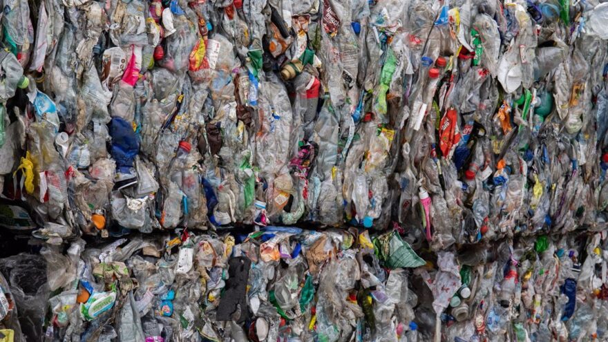 El Ararteko llama a sumarse al movimiento global contra la contaminación por plásticos