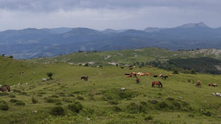 La naturaleza, serena y ajena al ruido humano