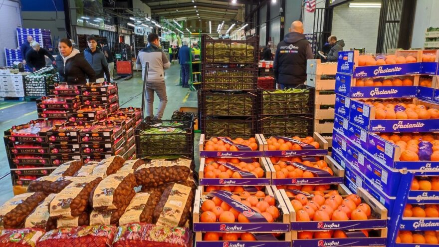 Mercabilbao refuerza su papel clave en el abastecimiento alimentario