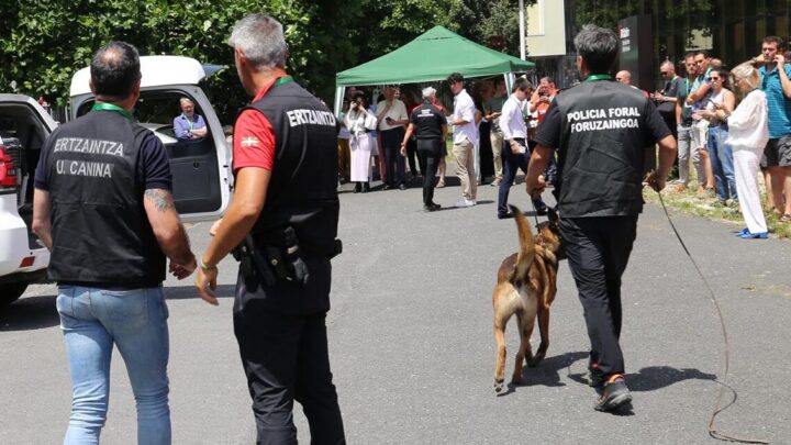 Innovación forense desde Euskadi: entrenar perros con olor a muerte reciente