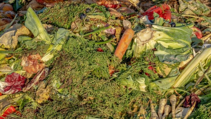 Getxo lanza una campaña para frenar el despilfarro alimentario