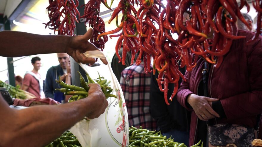 El pimiento de Gernika, protagonista de la feria especial en la Plaza del Mercado