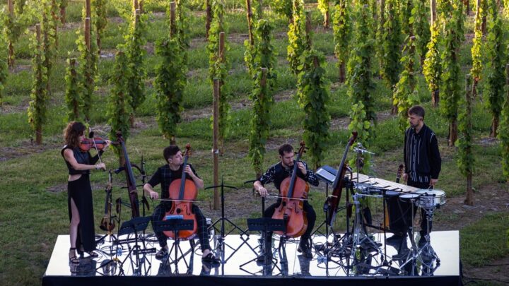 ‘Música en Cada Rincón’ arranca en Bizkaia: «Vamos a pueblos donde no ha habido ni un solo evento»