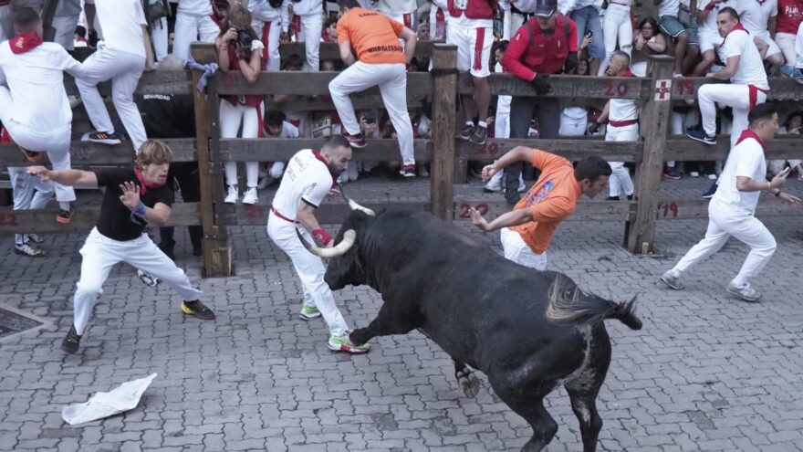 Un toro de Cebada Gago siembra el pánico en el segundo encierro de San Fermín