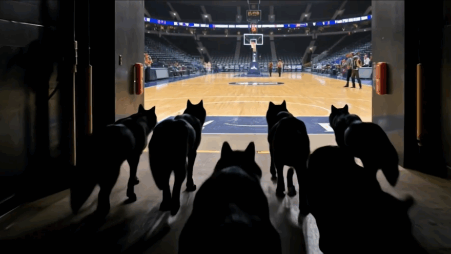 Se presenta la nueva campaña de abonados del Surne Bilbao Basket