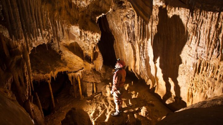 El alma prehistórica de Lekeitio sale a la luz en su 700 aniversario